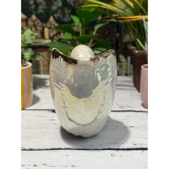 Pearlized Nautilus Shell Planter Or Display Accent - Picture 7 of 8